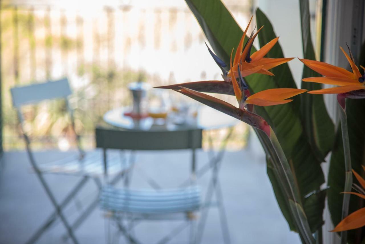 Appartement La Strelitzia Cervo Mare Extérieur photo